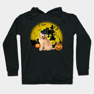 Happy Halloween Cockapoo Dogs Halloween Gift Hoodie